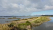 Arès et son près salé