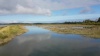 Magnifique vidéo des près salés d'Arès