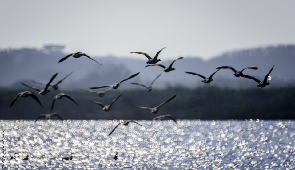 7 choses à faire en automne sur le bassin d’Arcachon