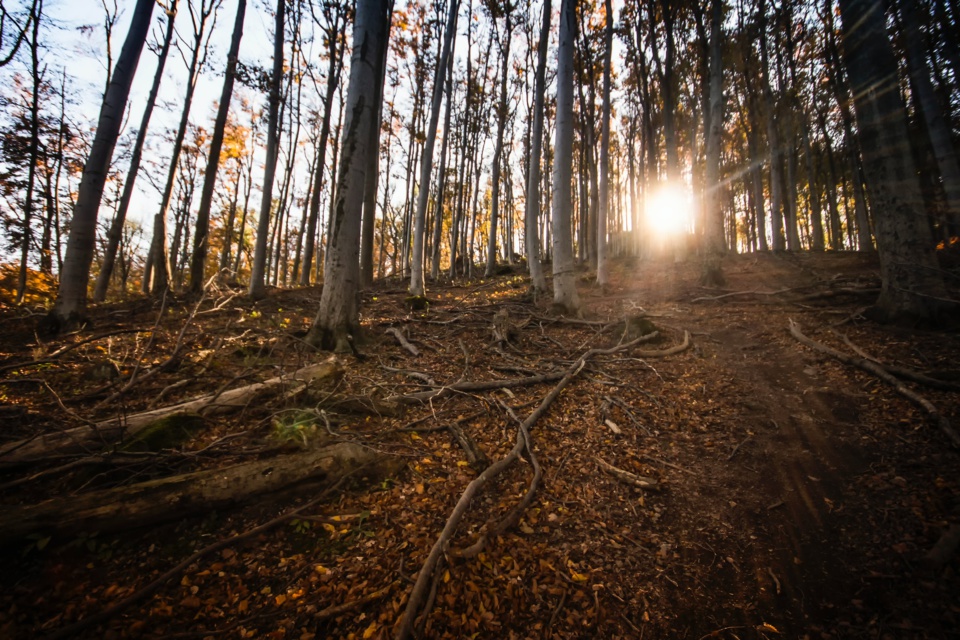 7 choses à faire en automne sur le bassin d’Arcachon