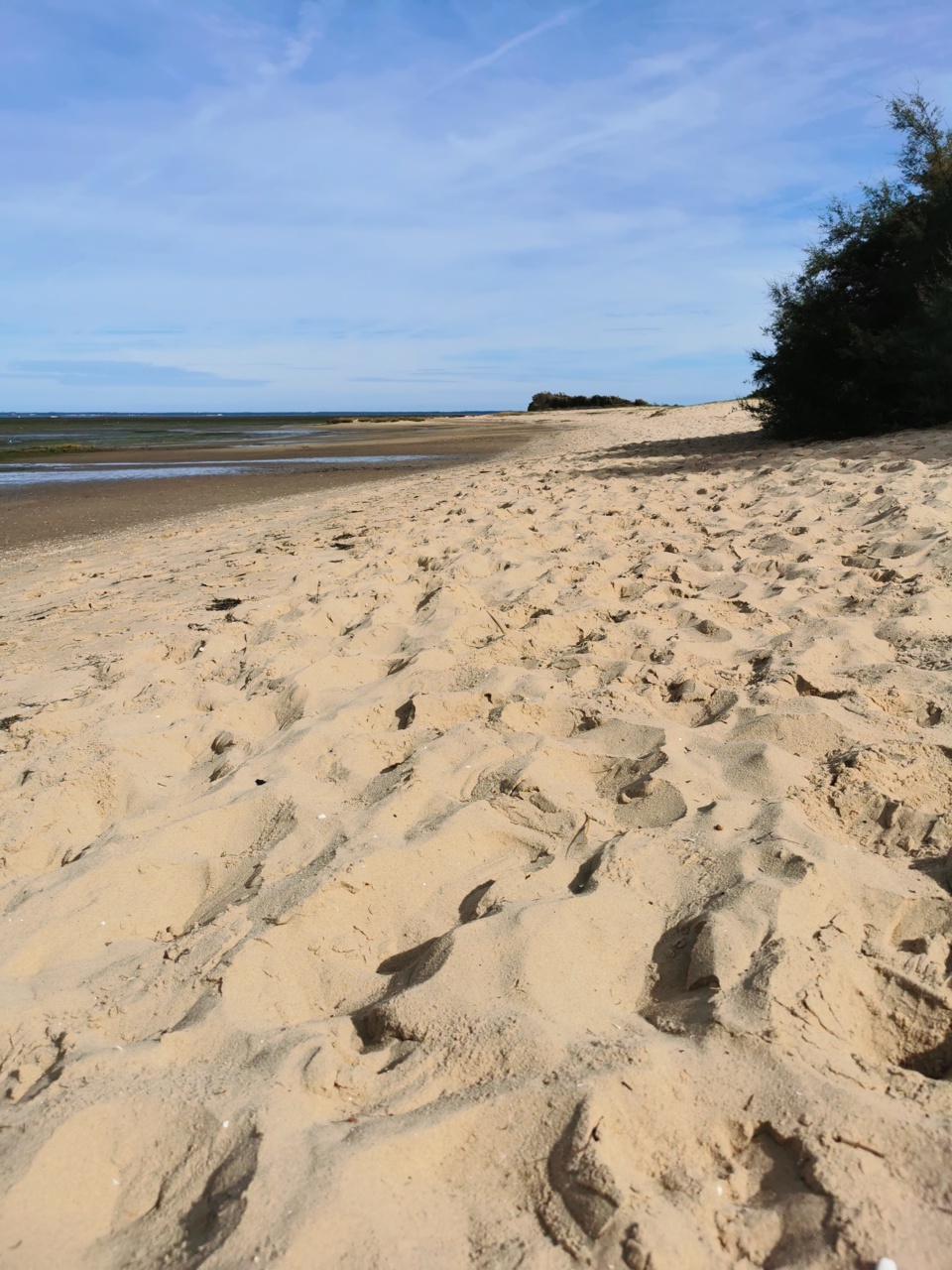 7 choses à faire en automne sur le bassin d’Arcachon