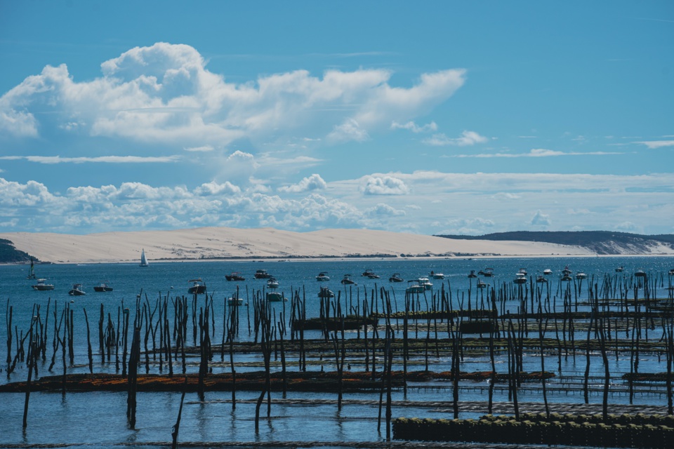 7 choses à faire en automne sur le bassin d’Arcachon