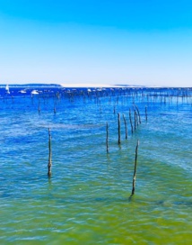 Bassin d’Arcachon supporte une forte activité ostréicole