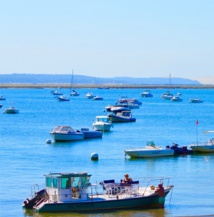 Naviguer à la voile : une alternative durable pour explorer le bassin d'Arcachon