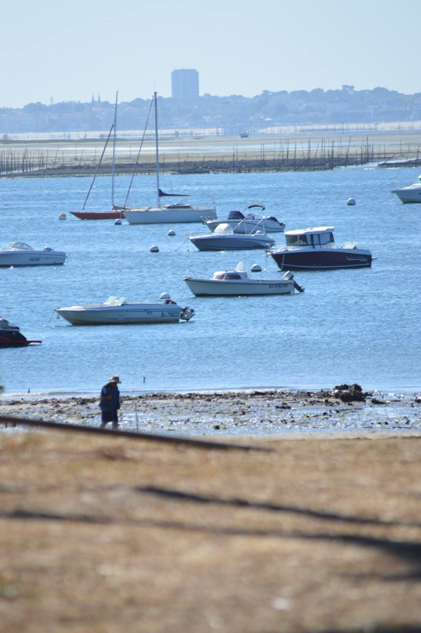 Suractivité nautique sur le bassin d’Arcachon