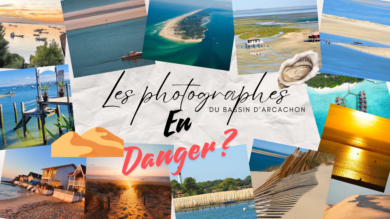 Les photographes du bassin d’Arcachon en danger