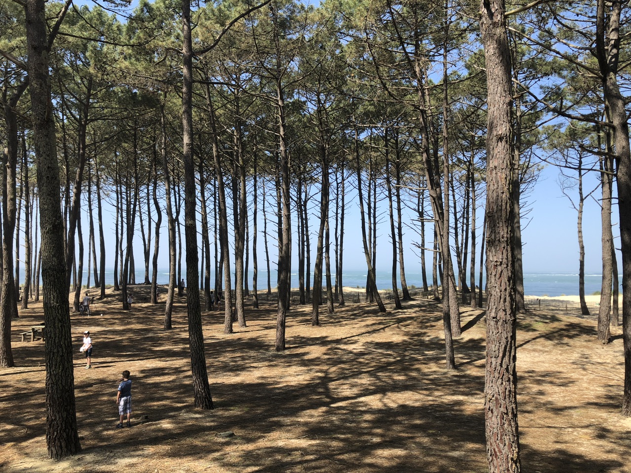 Écotourisme sur le bassin d’Arcachon