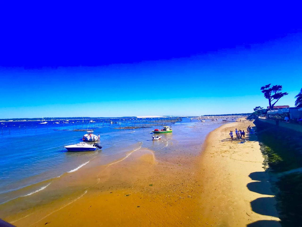 A faire sur le bassin d’arcachon en septembre