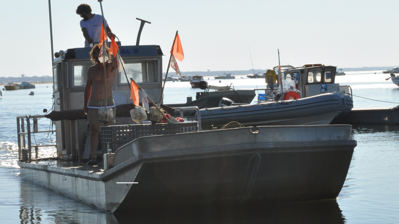 Plate du bassin d’arcachon