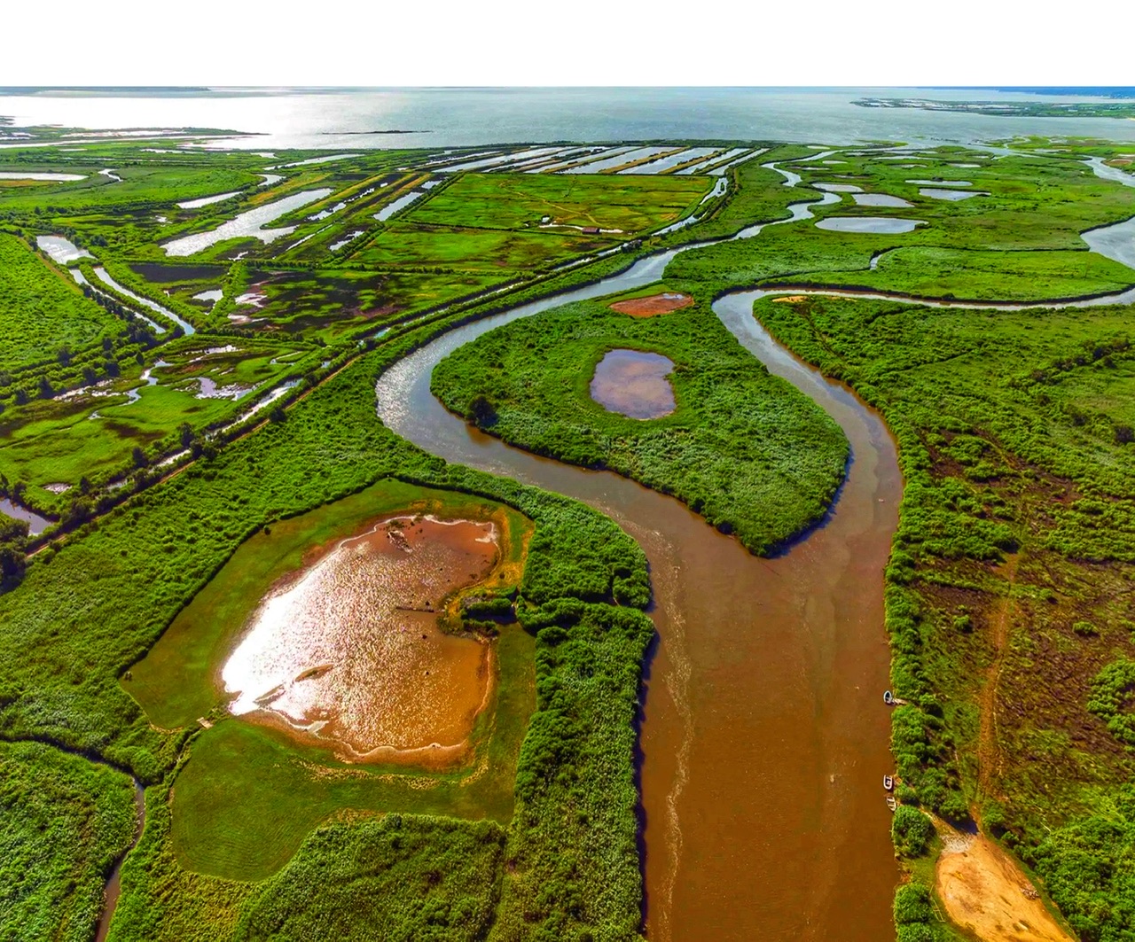 Delta de la Leyre 📷 Office du tourisme Cœur du bassin