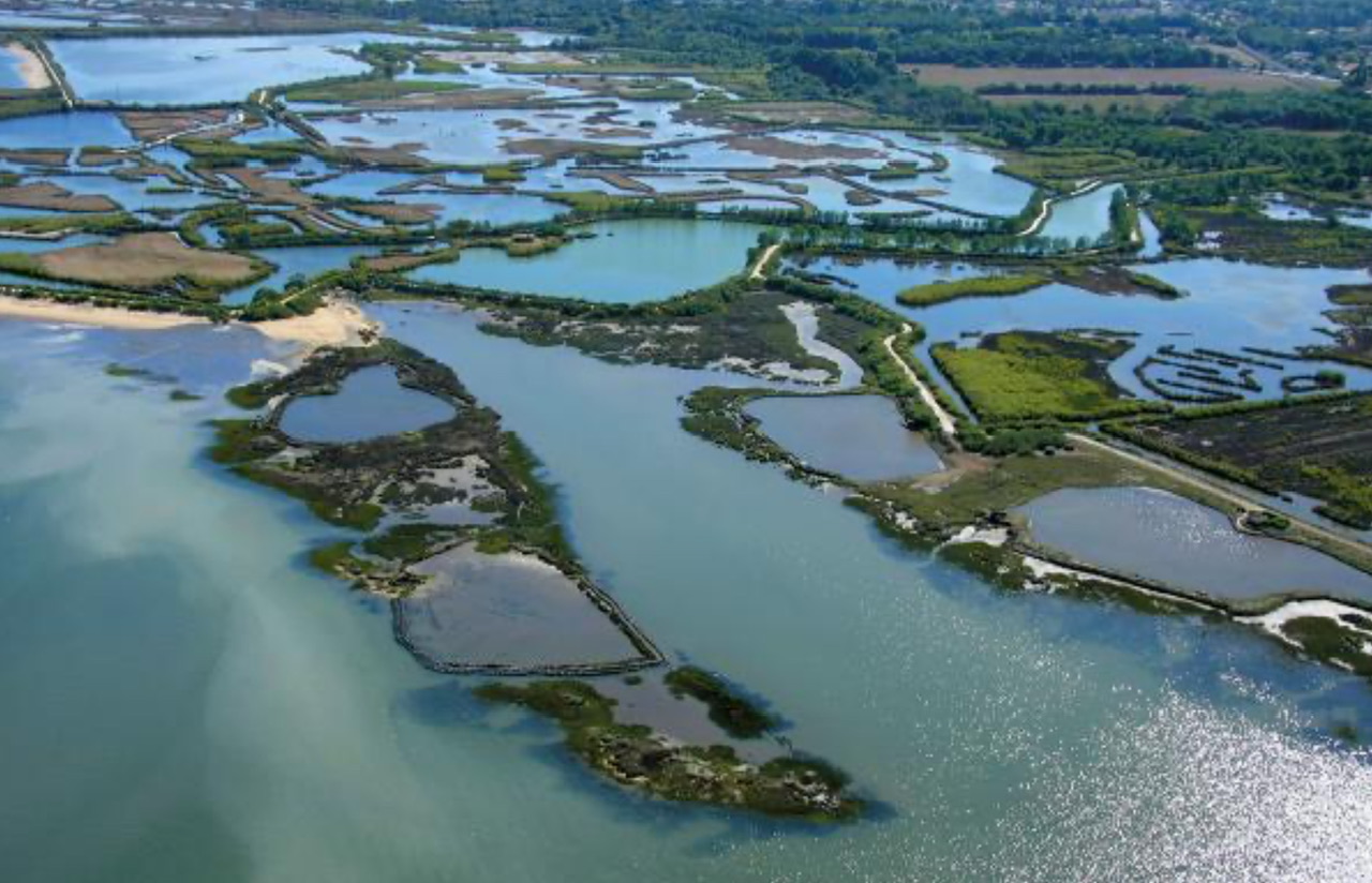 Delta de la Leyre à marée haute 📷 Zone humide