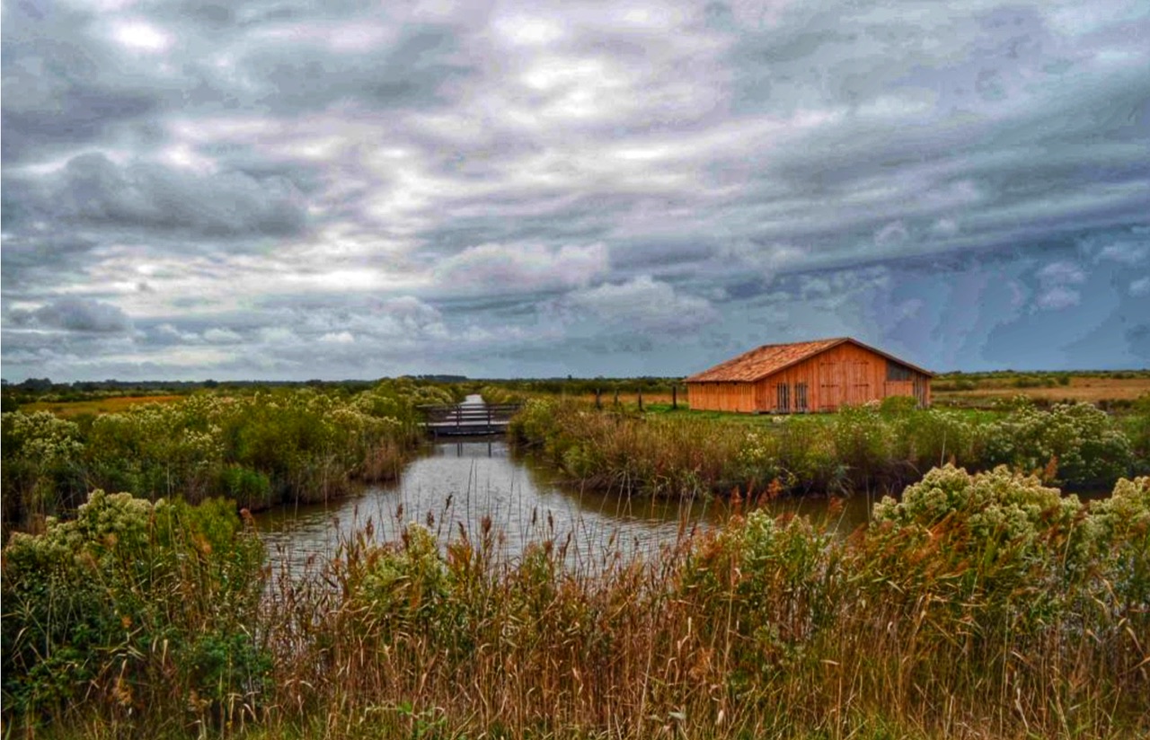 Île de malprat 📷 Biganos