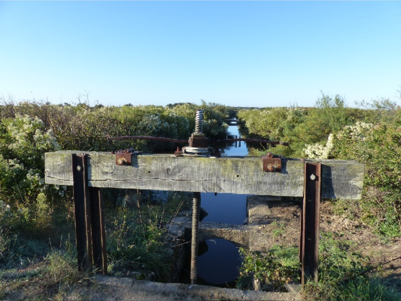 Hydropique de l’île de Malprat 📷 Conservatoire littoral