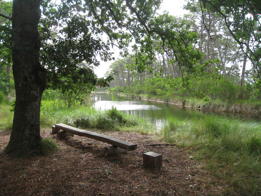 Les Réservoirs de Piraillan - Conservatoire du littoral