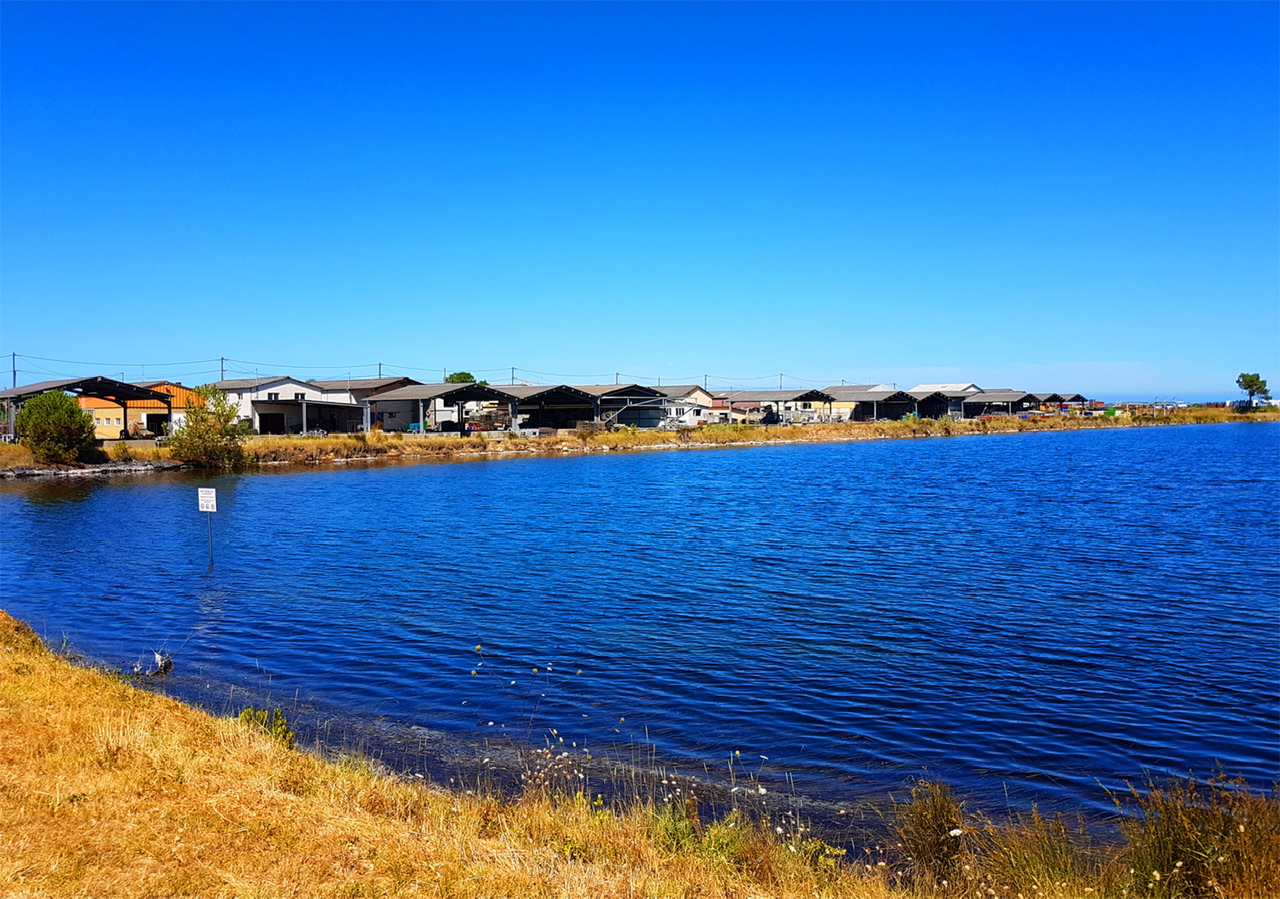 Les couleurs changeantes du Bassin d’Arcachon : pourquoi l’eau est-elle parfois verte, bleue ou brune ?