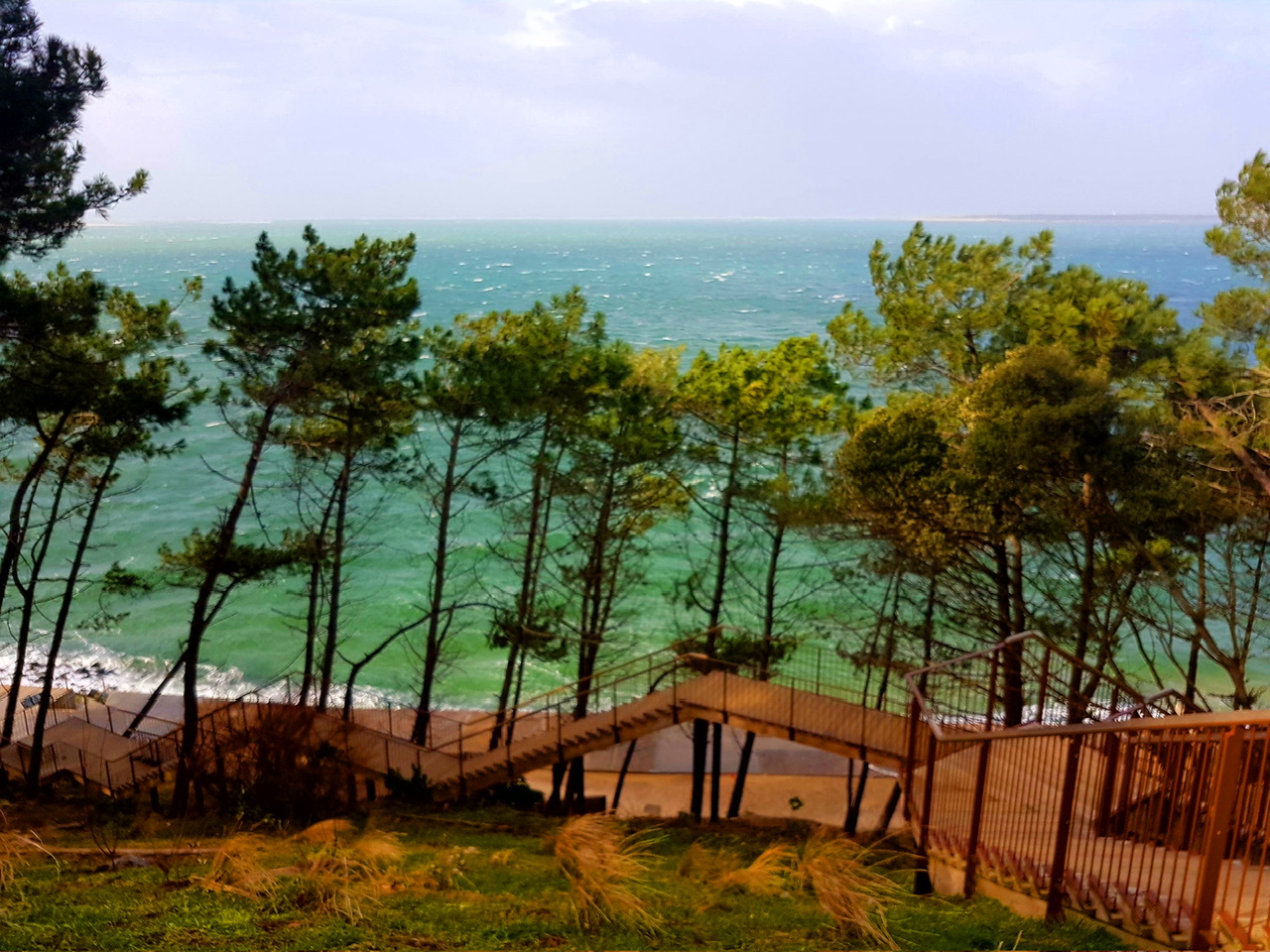 Les couleurs changeantes du Bassin d’Arcachon : pourquoi l’eau est-elle parfois verte, bleue ou brune ?