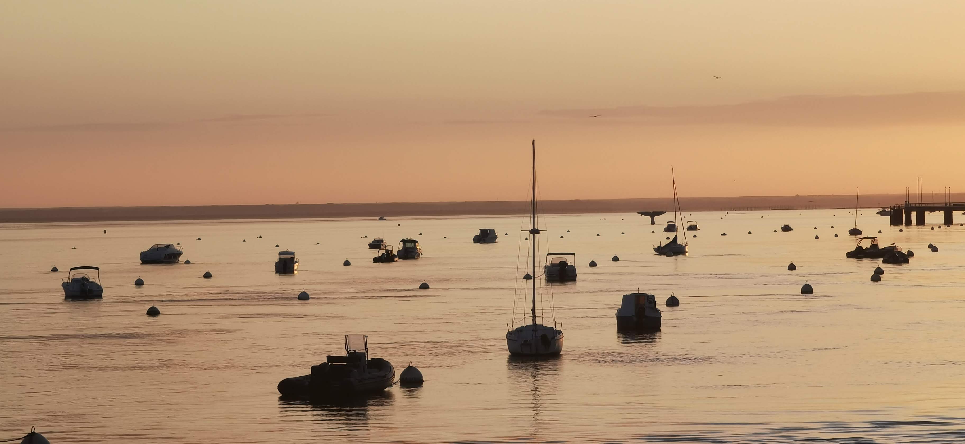 Ma dernière photographie du bassin d’Arcachon