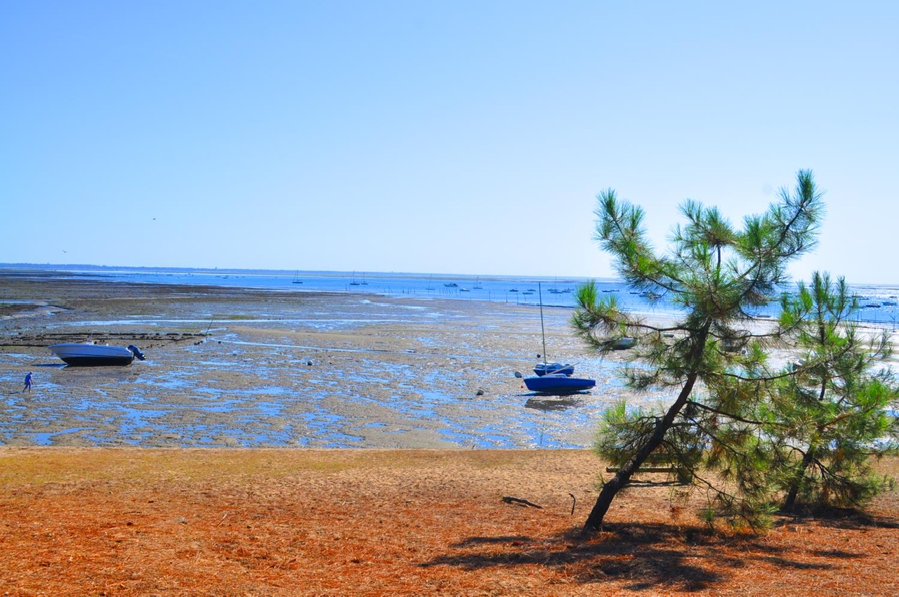 Arcachon mérite t’il votre temps ?