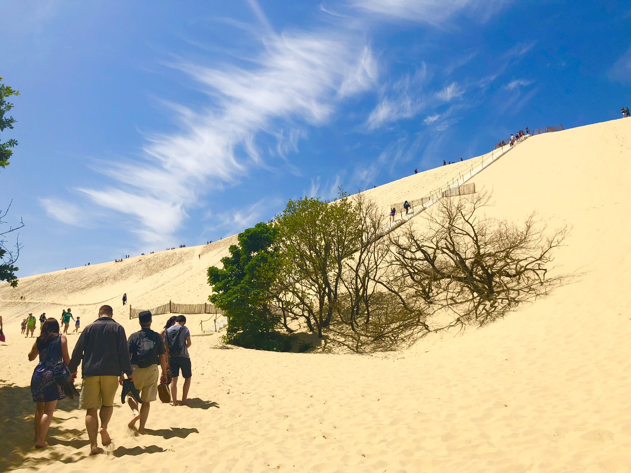 Voir le banc d’arguin et l’océan de l’autre côté de ce flanc de la dune du Pilat