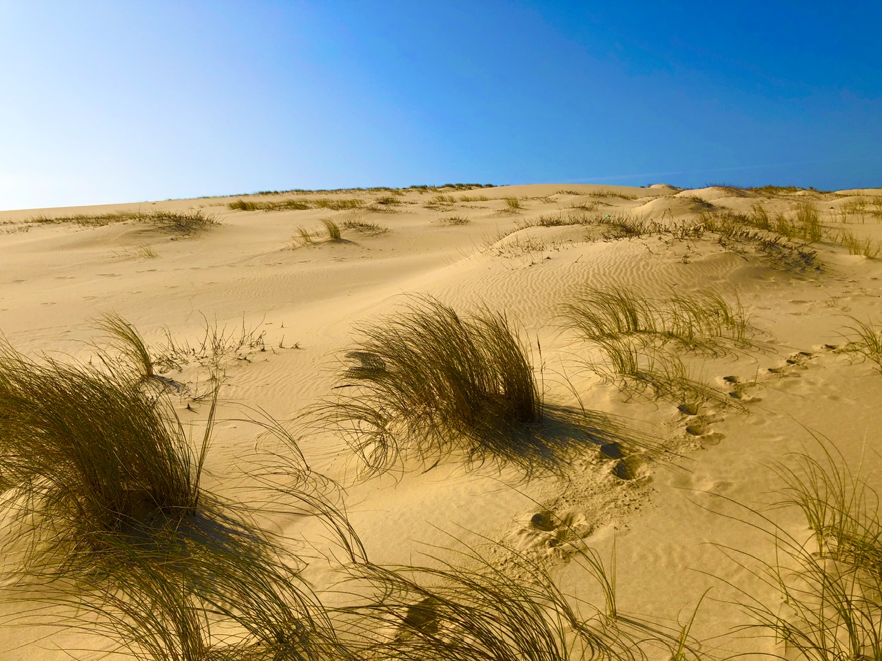 Gravir la dune du Pilat en hiver