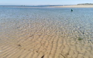 Presqu’île de Lège Cap-Ferret