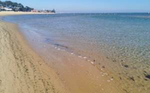 Quels sont les meilleurs moments de l’année pour visiter le Cap Ferret ?