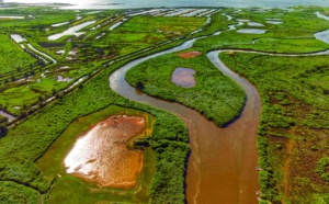 Le delta de la Leyre, la petite amazone du bassin