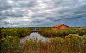 L’île mystérieuse de Malprat